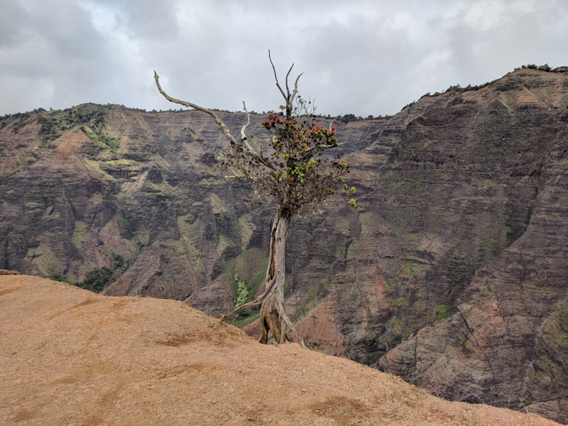 Illustration for article titled Waimea Canyon photo dump